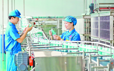 綠水青山無價寶&middot;四年試點看蛻變|紅土地上的綠色之歌